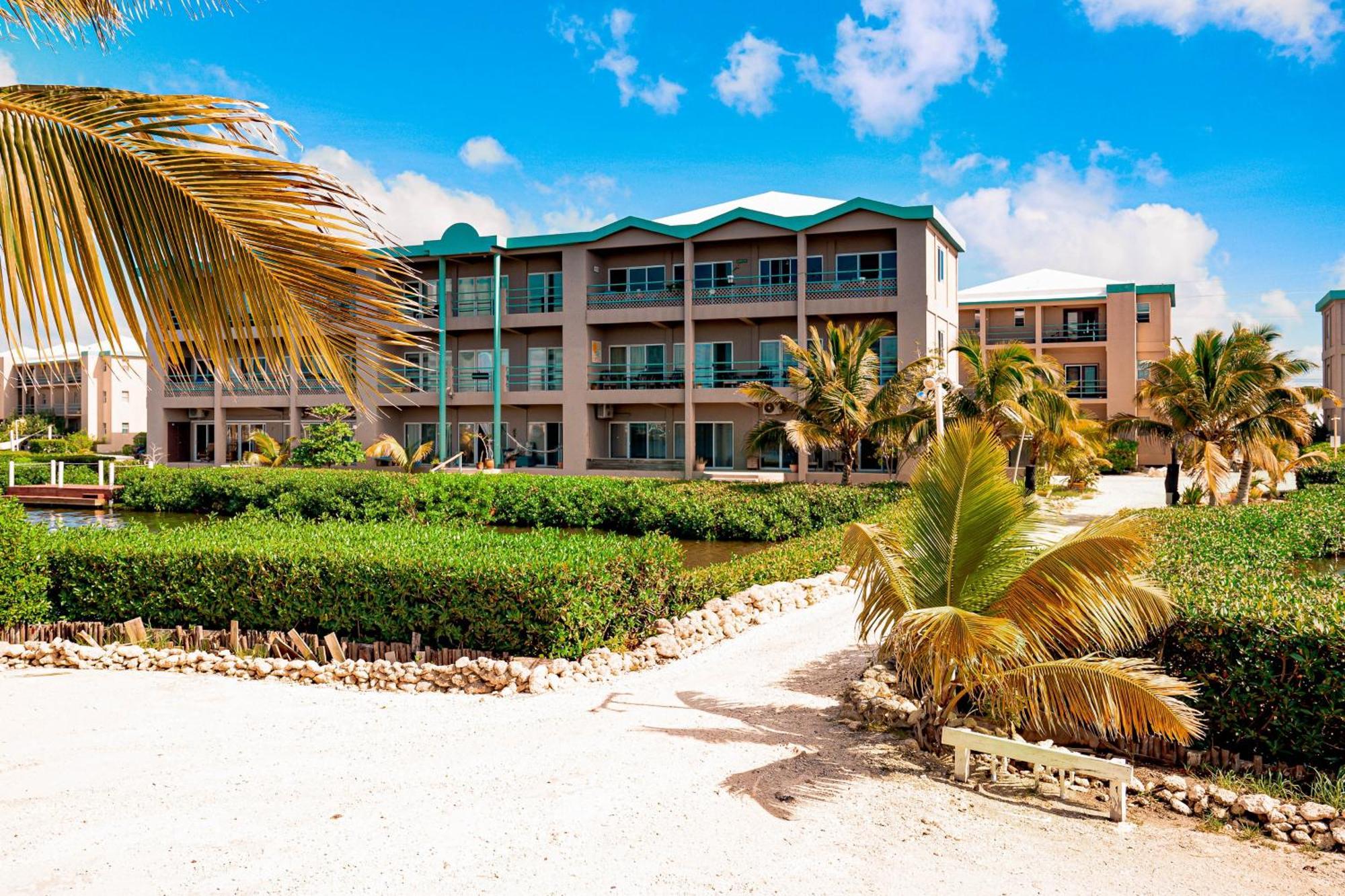 Suite I302 At Mara Laguna Gold Standard Certified San Pedro  Bilik gambar